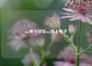 mg电子经验mg线上电子