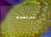 澳门新葡京mg电子