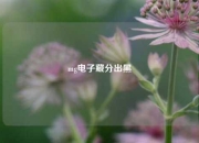 mg电子藏分出黑