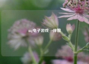 mg电子游戏→伴娘