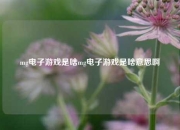 mg电子游戏是啥mg电子游戏是啥意思啊