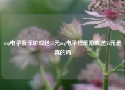 mg电子娱乐游戏送55元mg电子娱乐游戏送55元是真的吗