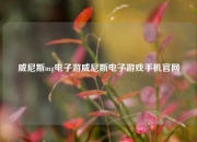 威尼斯mg电子游威尼斯电子游戏手机官网