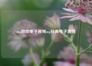mg游戏电子视频mg经典电子游戏