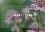 mg电子平台开户送彩金