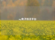 mg电子投注平台