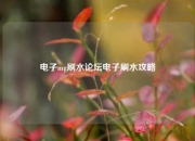 电子mg刷水论坛电子刷水攻略