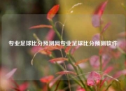 专业足球比分预测网专业足球比分预测软件