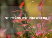 今日比分预测足球今日足球比分分析查询