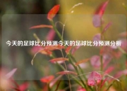 今天的足球比分预测今天的足球比分预测分析