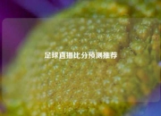 足球直播比分预测推荐