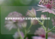 足球预测国际比分足球预测国际比分软件