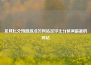 足球比分预测最准的网站足球比分预测最准的网站