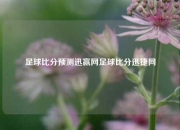 足球比分预测迅赢网足球比分迅捷网
