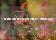 那里足球比分预测那里足球比分预测最准确
