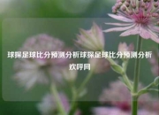 球探足球比分预测分析球探足球比分预测分析欢呼网