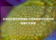 足球切尔西对利物浦比分预测足球切尔西对利物浦比分预测