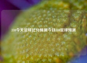 310今天足球比分预测今日310足球预测