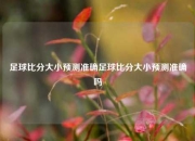 足球比分大小预测准确足球比分大小预测准确吗