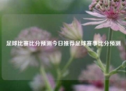 足球比赛比分预测今日推荐足球赛事比分预测