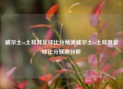 威尔士vs土耳其足球比分预测威尔士vs土耳其足球比分预测分析