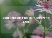 足球比分预测官方下载足球比分预测官方下载手机版