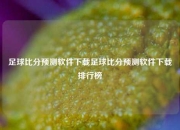 足球比分预测软件下载足球比分预测软件下载排行榜