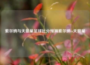 索尔纳与天狼星足球比分预测索尔纳vs天狼星