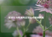 足球比分预测网足球比分预测网易