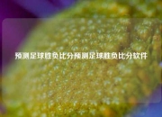 预测足球胜负比分预测足球胜负比分软件