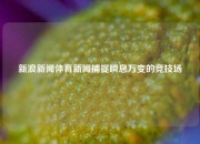 新浪新闻体育新闻捕捉瞬息万变的竞技场