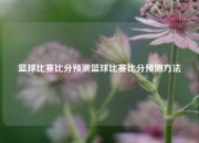 篮球比赛比分预测篮球比赛比分预测方法