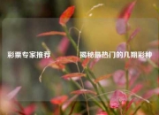 彩票专家推荐🏆揭秘最热门的几期彩种