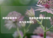 简单彩票推荐🎖️简单彩票推荐策略解析与实用技巧