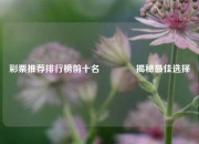 彩票推荐排行榜前十名🥈揭秘最佳选择