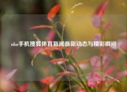 nba手机搜狐体育新闻最新动态与精彩瞬间