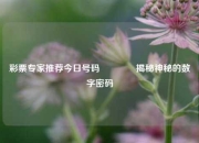 彩票专家推荐今日号码👈揭秘神秘的数字密码