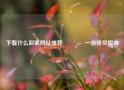 下载什么彩票网站推荐👍一份详尽指南