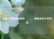 彩票大赢家预测推荐👉揭秘未来大奖号码
