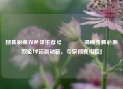 搜狐彩票双色球推荐号🥈揭秘搜狐彩票双色球预测秘籍，专家倾囊相授！