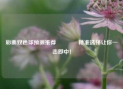 彩票双色球预测推荐🏅精准选择让你一击即中！