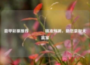 意甲彩票推荐🏅精准预测，助您豪取大赢家