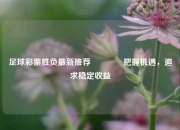 足球彩票胜负最新推荐👈把握机遇，追求稳定收益