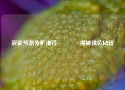 彩票预测分析推荐🌈揭秘胜负秘籍
