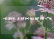 体育新闻恒大足球赛事中国足坛的骄傲与荣耀
