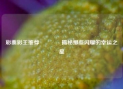 彩票彩王推荐🏅揭秘那些闪耀的幸运之星