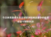 今日体育新闻头条足球欧洲杯预选赛中的惊天逆转与精彩对决