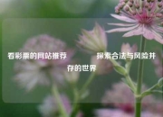 看彩票的网站推荐🏅探索合法与风险并存的世界