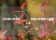 买彩票红单推荐🥈精选红单推荐与策略分享