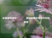 彩票推荐视频🥈揭秘隐藏的幸运号码和策略